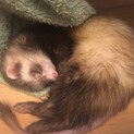 ★ありがとうございました★