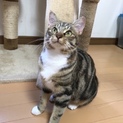 ホワイトソックス＆丸いお顔がキュート