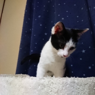 小さいけどやんちゃな女の子