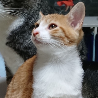 かわいすぎる！