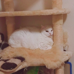 明けましておめでとうございます