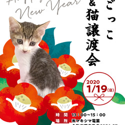 倉敷猫まもりの会のイベント :: ペットのおうち【月間利用者150万人！】