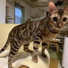 の写真