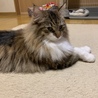 の写真
