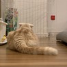 後ろ姿も超かわいい♡