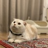まんまる♡