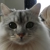 の写真