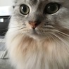 の写真