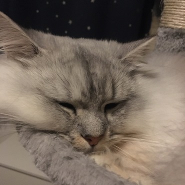 テオの写真