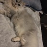 の写真