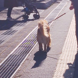 今年もよろしくお願します！