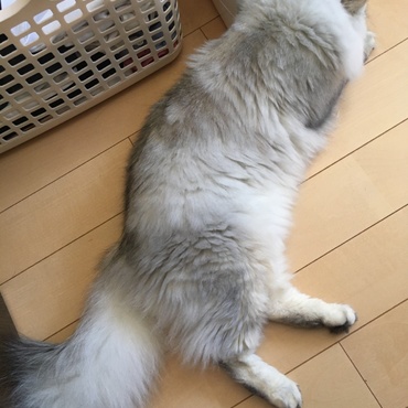 の写真