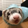 トンネルからこんにちは^_^