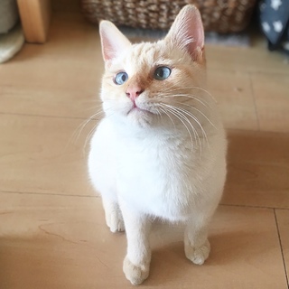 たけのくん♡おっとり草食系男子♡