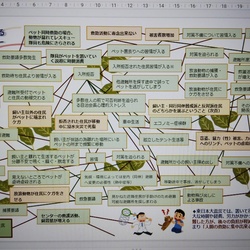 「資料「ペット対策のすすめ」1/2」サムネイル2