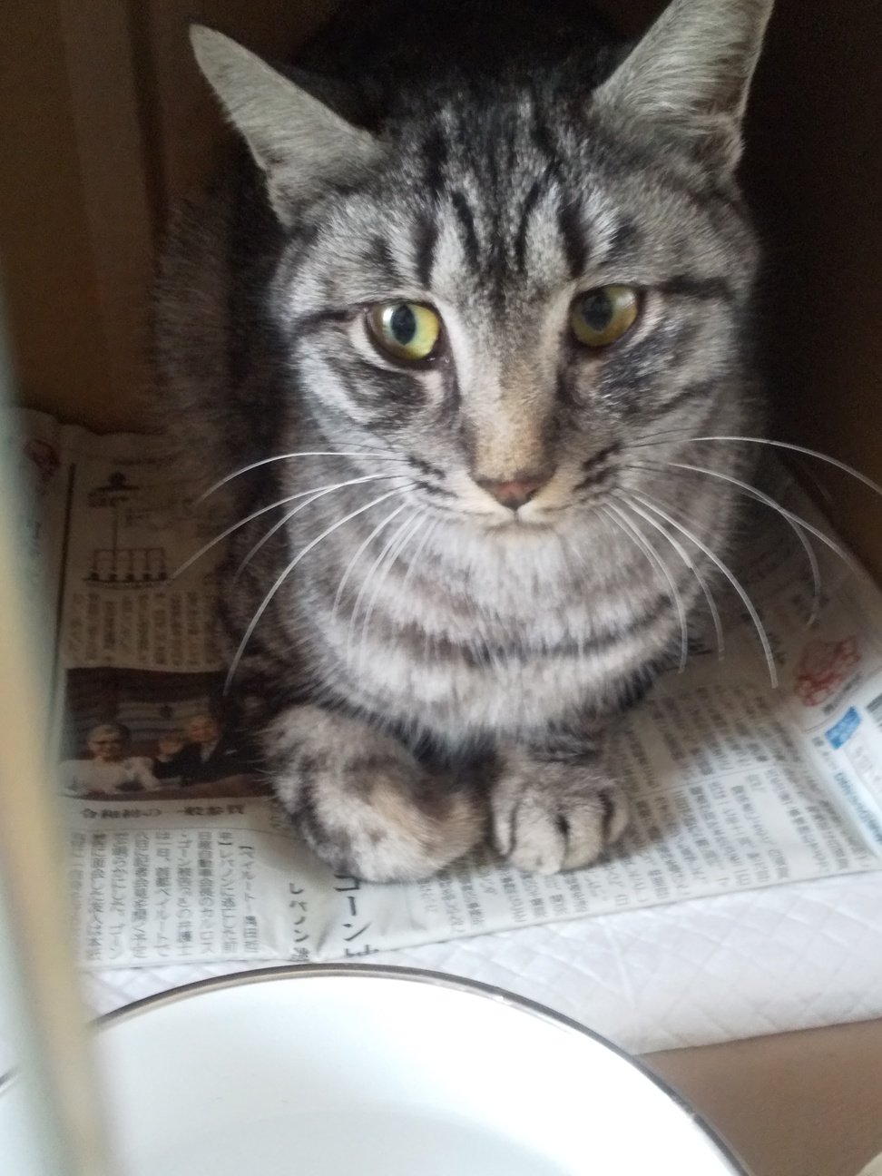 すずくん(dot's) サムネイル3