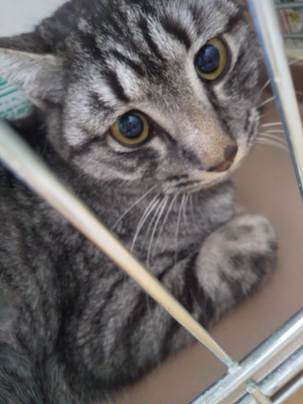 すずくん(dot's) サムネイル4