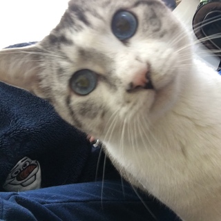 碧い瞳の紡希(つむぎ)くん