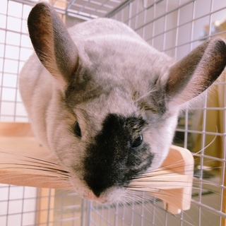 募集申込が多かった為一度募集終了とさせて頂きます