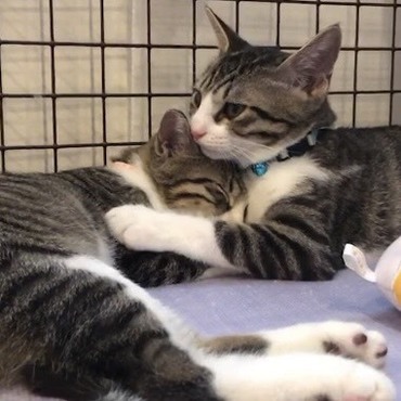 抱き合ってる〜❤️