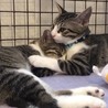 抱き合ってる〜❤️