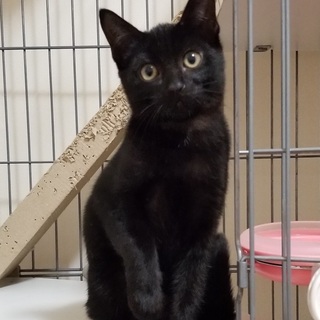 最後の1匹となりました