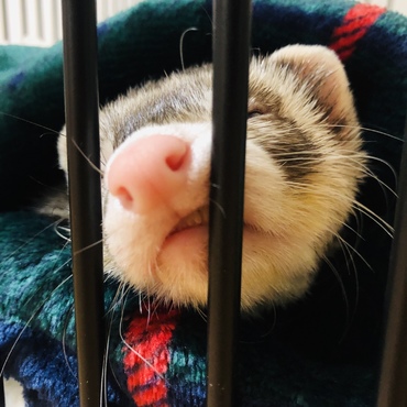 (*´◒`*)
