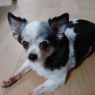 素敵な方とご縁がありました。ありがとうございました