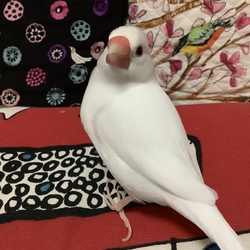 一年