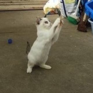 目元が印象的な美人さん