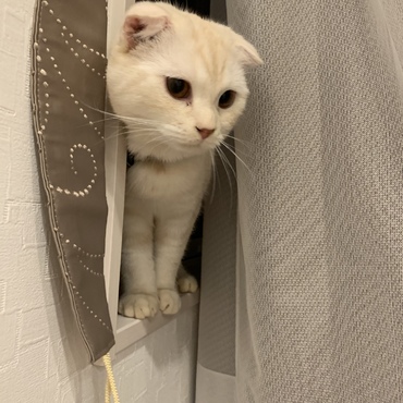 窓もお気に入り♡