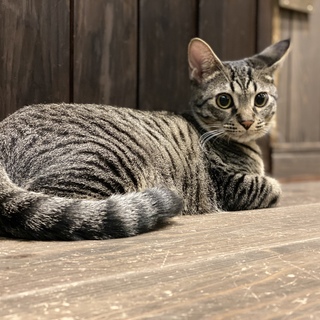 人が大好きで甘えん坊のなぎ君