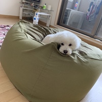 チェルシー