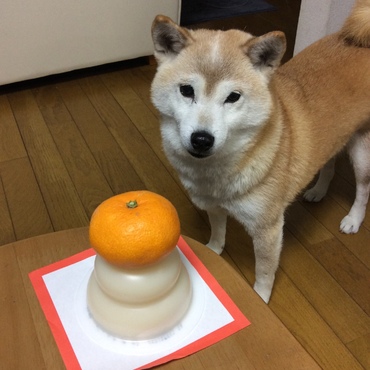 えさママ？どうしたの？(ToT)入院？？心配だよ…(;O;)