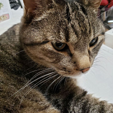 ちびちゃんの写真