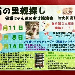 保護にゃん達の幸せ譲渡会In大和高田市