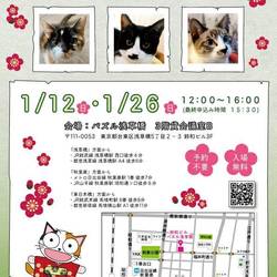 ねこざんまい譲渡会@浅草橋