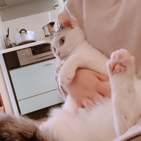 ちいくん