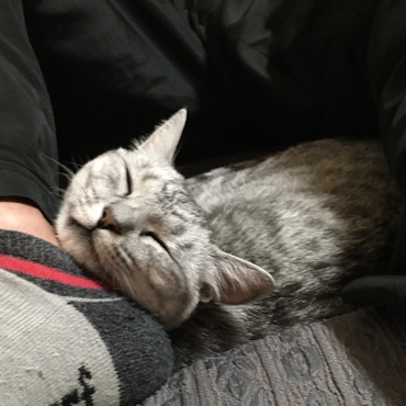 わざわざ苦しい寝方をする。