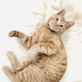 ユニークな甘えた君！