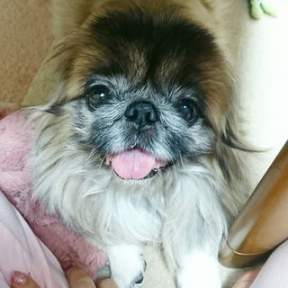 素敵な家族ができました、ありがとうございました♪