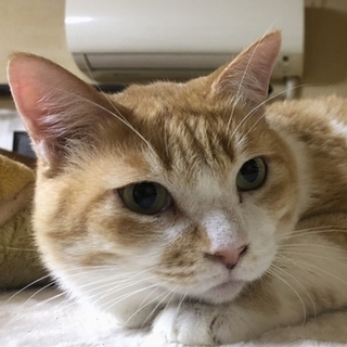 新しいご家族ができました♪