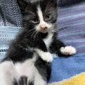 里親さま決まりました☆