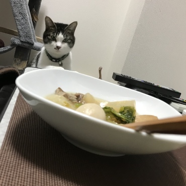 おでん食べたい。