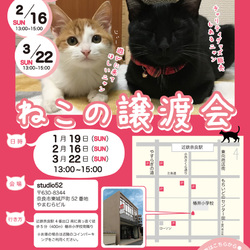 猫の譲渡会