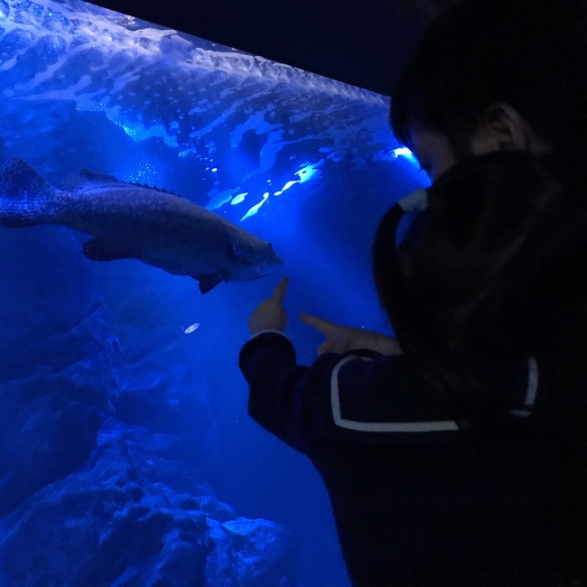 Emmaぱんだのカバー写真