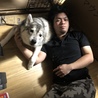 うちの可愛い犬枕