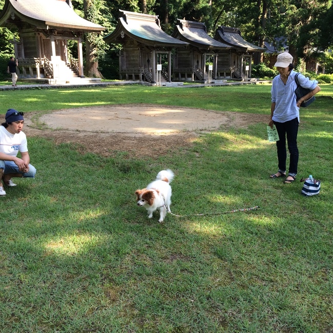 島村すむのカバー写真