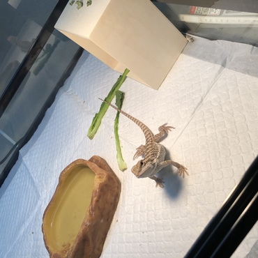 いつもぼーっとしてるわ笑笑