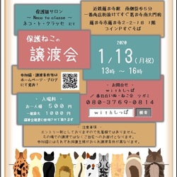 藤井寺保護猫サロンネコトクラッセ譲渡会